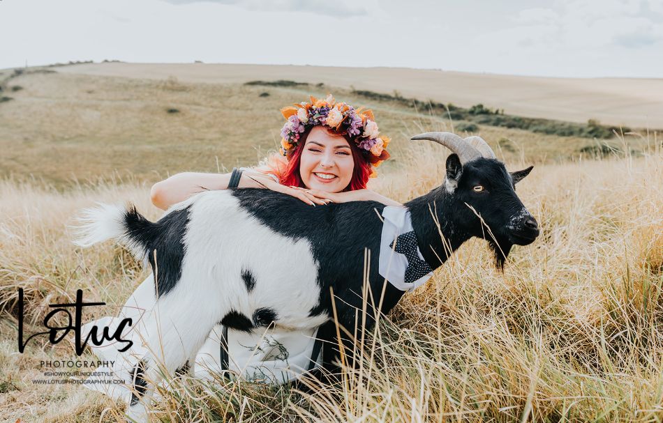 Have you ever thought about having goats at your wedding in Dorset?